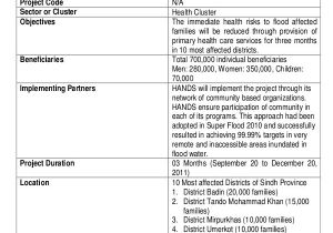 Health Care Proposal Template 36 Project Proposal In Pdf Free Premium Templates