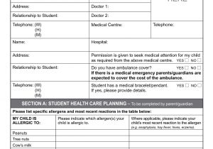 Health Care Proposal Template Best Photos Of Health Care forms Templates Mental Health