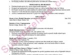 Health Coach Business Plan Template How to Create A Business Resume Resume Template Sample