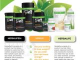 Herbalife Flyer Template Custom Print Ready Herbalife Contact Flyer by