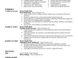 Hha Resume Samples Home Health Aide Resume Examples Free to Try today