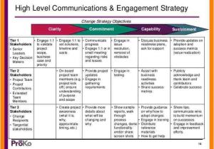 High Level Business Plan Template High Level Project Plan Template Packaging Clerks