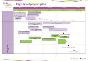 High Level Business Plan Template Weekly Progress Report Ppt Video Online Download