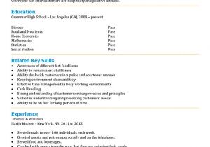 High School Student Resume Summary Free High School Student Resume Examples Guide and Tips