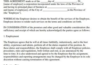 Hiring Contract Template Sample Employment Agreement 8 Free Documents Download