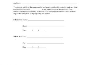 Horse Boarding Contract Template Free 36 Inspirational Pics Of Horse Boarding Contract Template