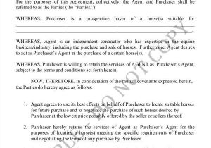 Horse Sale Contract Template 5 Horse Sales Contract Samples Templates In Pdf