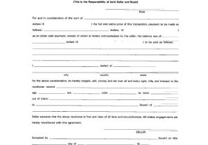 Horse Sale Contract Template Horse Bill Of Sale 8 Free Sample Example format