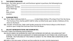 Horse Sale Contract Template Sample Horse Sales Contract 5 Examples In Word Pdf