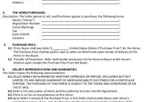 Horse Sale Contract Template Sample Horse Sales Contract 5 Examples In Word Pdf