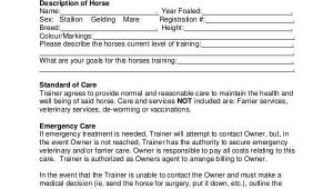 Horse Training Contract Template 9 Training Contract Samples Templates In Pdf