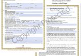 Horse Training Contract Template Equine Legal solutions What 39 S In Our forms Training