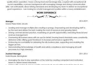 Hotel Resume format Word Hotel Manager Cv Example Free Word Template for the