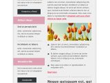 Hotmail Email Template Classiken HTML Newsletter Template E Mail Templates