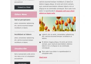 Hotmail Email Template Classiken HTML Newsletter Template E Mail Templates