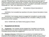 Hourly Consultant Contract Template Blog Archives Masterspy