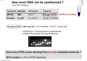 How Much Template Dna for Pcr Contents Hospital Pcr Gel Results Eppendorf Eb Gel K