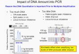 How Much Template Dna for Pcr More Inspired How Much Template Dna for Pcr Trend