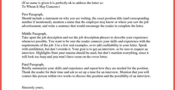 How to Address A Cover Letter without A Contact Person How to Start A Cover Letter Memo Example