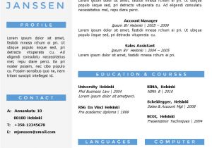 How to Create A Cv Template In Word Cv Template Word Vitae