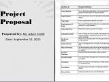 How to Create A Proposal Template In Word 8 Project Proposal Template Word Timeline Template