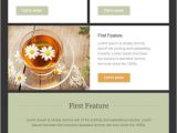 How to Create Email Newsletter Template Best 25 School Newsletter Template Ideas On Pinterest