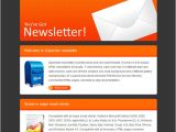 How to Create Email Newsletter Template Email Newsletter Templates 40 Hand Picked Premium Designs