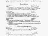 How to Create My Own Resume Template Ten Outrageous Ideas for Your Resume and form Template Ideas