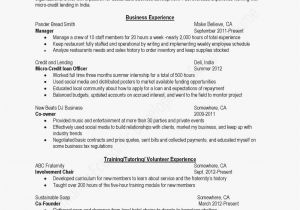 How to Create My Own Resume Template Ten Outrageous Ideas for Your Resume and form Template Ideas