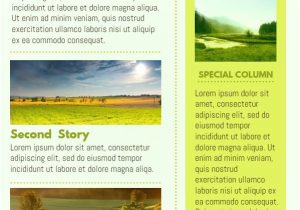 How to Design A Newsletter Template Yellow Company Newsletter Design Template Click to