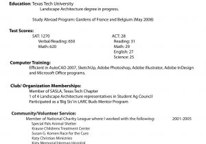 How to Do A Resume for A Job Application How to Create A Professional Resume