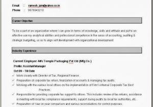 How to format Your Resume In Word Simple Resume format In Word