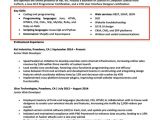 How to Make A Professional Resume 20 Skills for Resumes Examples Included Resume Companion