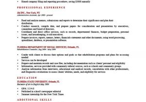 How to Make A Professional Resume How to Write A Resume Profile Examples Writing Guide Rg