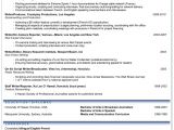 How to Make A Professional Resume Professional Resume Cv Audrey Martinez