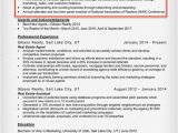 How to Make A Professional Resume Resume Profile Examples Writing Guide Resume Companion