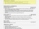 How to Make A Professional Resume Ten Ways Resume Summary Realty Executives Mi Invoice