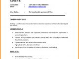 How to Make Resume for Job Interview In India 7 Cv format Pdf Indian Style theorynpractice