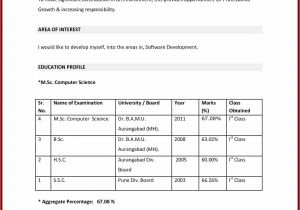 How to Make Resume for Job Interview In India 8 Mba Student Resume Budget Template