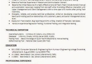How to Make Resume for Job Interview In India Best Resume formats for India Download