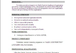 How to Make Resume format Word Resume Sample In Word Document Mba Marketing Sales