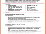 How to Mention Basic Computer Skills In Resume Additional Skills to Mention On Resume Resumewritinglab