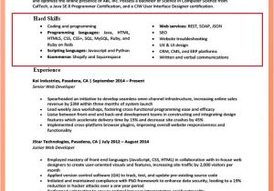 How to Mention Basic Computer Skills In Resume Additional Skills to Mention On Resume Resumewritinglab