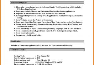How to Resume format with Word 5 Cv Samples In Word theorynpractice