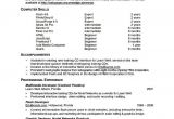 How to Say Basic Knowledge On Resume 7 Resume Basic Computer Skills Examples Sample Resumes
