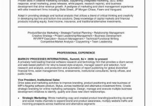 How to Start A Basic Resume Free 40 Skills Based Resume Template Download Free
