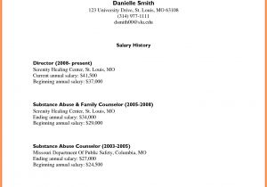 How to State Salary History In Cover Letter 6 How to Write A Salary History Salary Slip