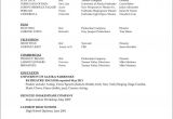 How to Use A Resume Template In Word 2010 Microsoft Word 2010 Resume Template Free Samples