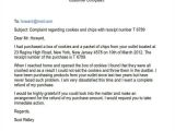 How to Write A Complaint Email Template 5 Complaint Email Examples Samples Doc Examples