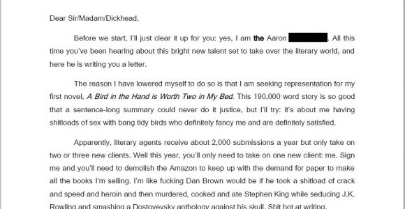 How to Write A Cover Letter for A Literary Agent Getting A Literary Agent Destroyedordamaged